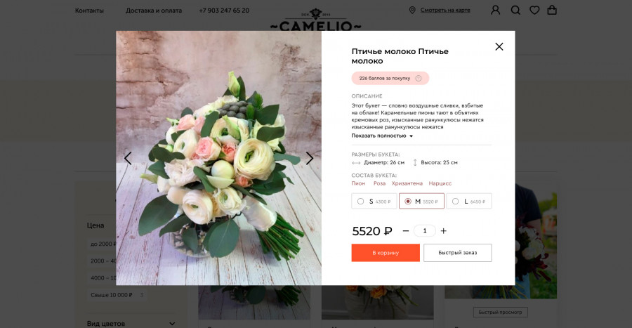 Скриншот проекта Camelio 2.0