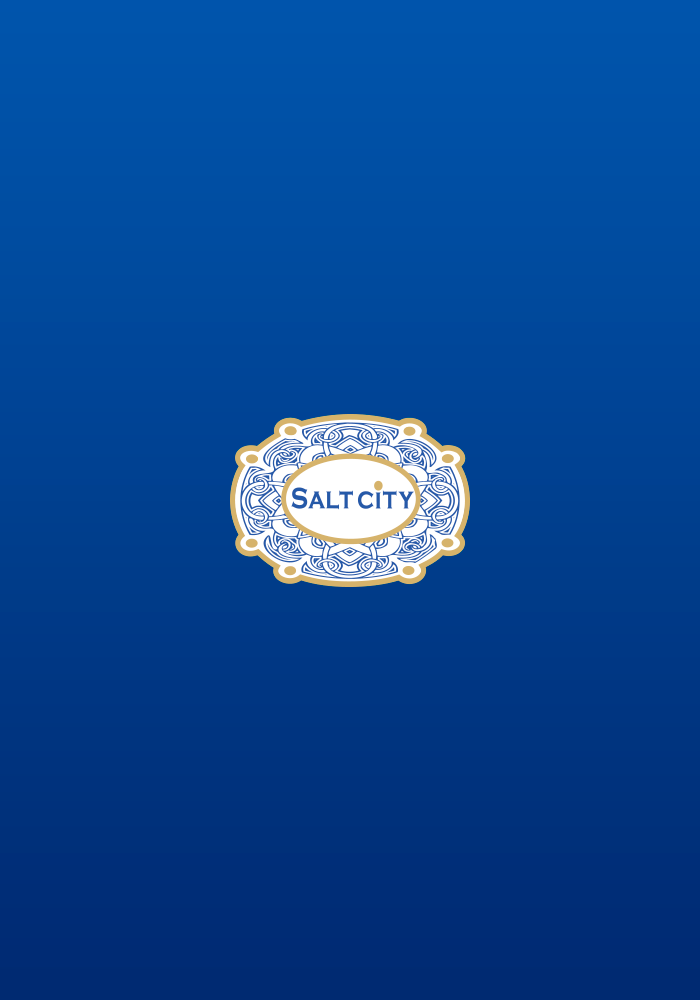SaltCity