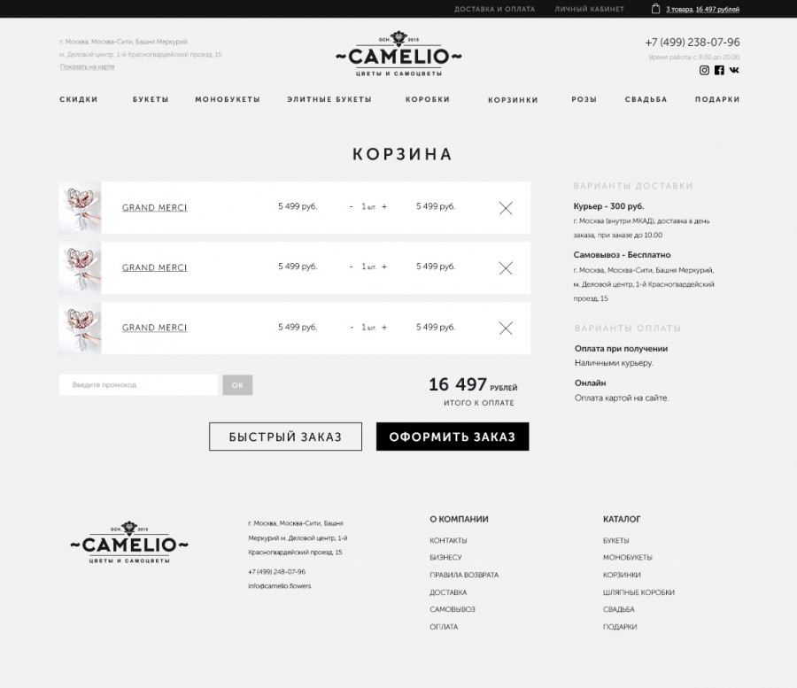 Скриншот проекта Camelio