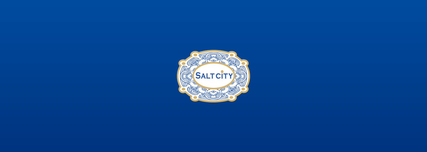 SaltCity